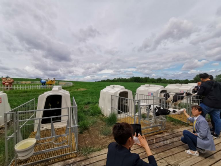 5d5a1f5152832.jpg news19018-4.jpg