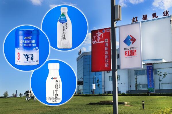 5dba811803b98.jpg 5.jpg