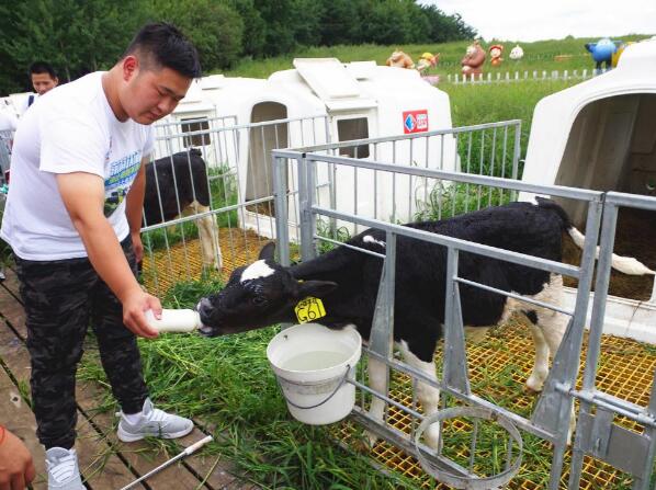 5dbd88036a2b2.jpg 4.jpg