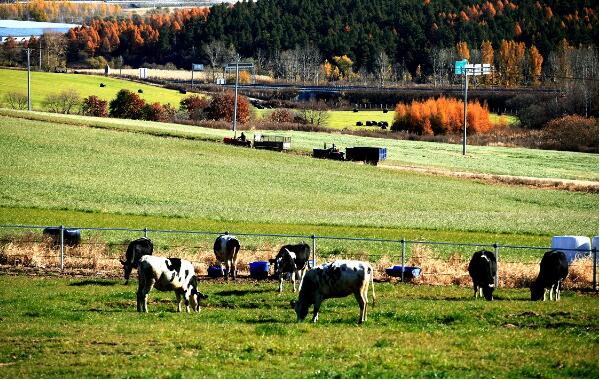 5dbd9e2a15f29.jpg 5.jpg