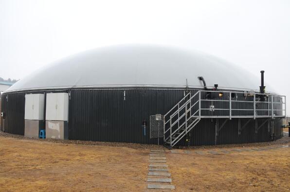 5dbdb1847627b.jpg 2.jpg