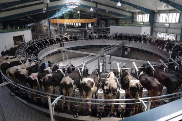 5dbdd19632bae.jpg 5.jpg