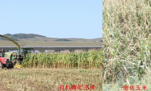 610cfd7fdb98b.png 微信圖片_20210806171342.png